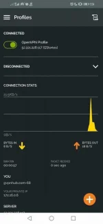 Screenshot_20210513_175828_net.openvpn.openvpn.webp