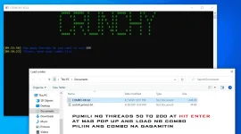 C1.webp