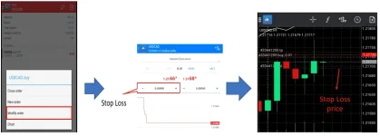 1620972984161.webp 1620972984161.webp