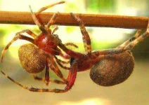 images (3).webp