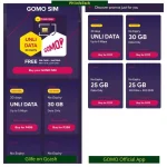 gcash-gomo-unlidata.webp