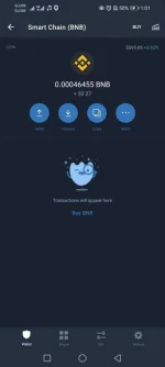 Screenshot_20210515_130120_com.wallet.crypto.trustapp.webp