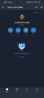 Screenshot_20210515_160627_com.wallet.crypto.trustapp.webp