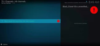 Screenshot_2021-05-17-08-49-20-228_org.xbmc.kodi.webp