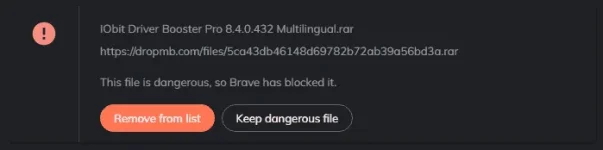braveErrorDL.webp