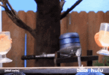 200.gif