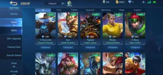 Screenshot_20210520_115015_com.mobile.legends.jpg
