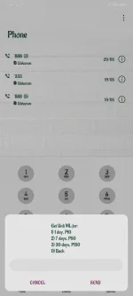 Screenshot_20210522_191458_com.huawei.contacts.webp