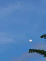 20210524_172414.webp