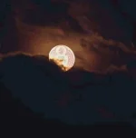 FB_IMG_16220319796521507.webp
