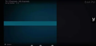 Screenshot_2021-05-27-20-44-55-292_org.xbmc.kodi.webp