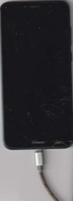 IMG_20210528_0001.webp