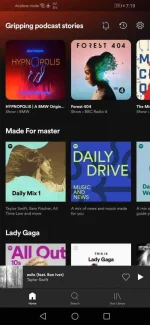 Screenshot_20210528_191929_com.spotify.music.webp