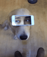 8c179b0a05f578a7e05c7902af6932af.gif 8c179b0a05f578a7e05c7902af6932af.gif