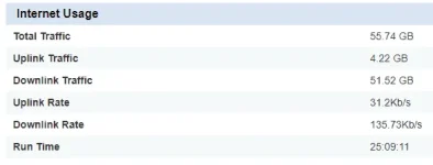 runtime.PNG