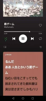 Screenshot_20210529_185828_com.spotify.music.jpg