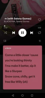 Screenshot_20210529_202805_com.spotify.music.webp