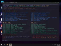 3.webp