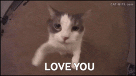 200.gif 200.gif