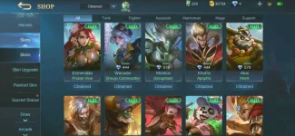 Screenshot_20210531-173752_Mobile Legends Bang Bang.webp