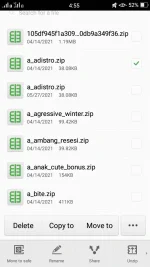 Screenshot_2021-06-01-16-55-52-32.webp