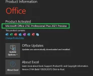 MSOfficeLTSCProPlus2021Preview.png