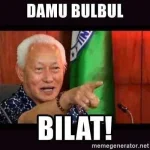 damu-bulbul-bilat.webp