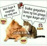 FB_IMG_1622683194455.webp