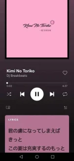 Screenshot_20210603_135524_com.spotify.music.webp Screenshot_20210603_135524_com.spotify.music.webp