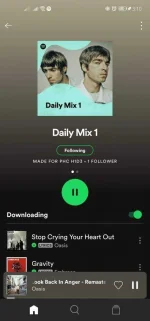 Screenshot_20210603_151016_com.spotify.music.webp