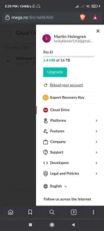 Screenshot_2021-06-03-15-29-06-819_com.brave.browser.webp