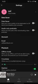 Screenshot_20210603-165214_Spotify.webp