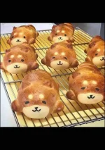 shiba inu.webp
