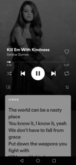 Screenshot_20210605_152321_com.spotify.music.webp