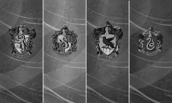 tumblr_mr5xk1AOF11s9snzmo1_500.gif tumblr_mr5xk1AOF11s9snzmo1_500.gif