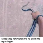 FB_IMG_1623030487290.webp