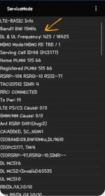 Screenshot_20210608-125947_Service mode RIL.jpg