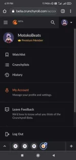 Screenshot_2021-06-08-18-19-36-091_com.android.chrome.webp