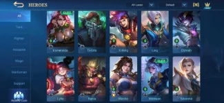 Screenshot_20210608_214118_com.mobile.legends.jpg