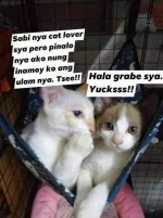 FB_IMG_16230431217450469.webp