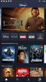 com.disney.disneyplus_Screenshot_2021.06.09_16.04.56.webp