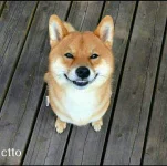 Screenshot_2021-06-09_223541.webp