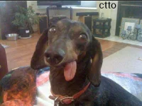 Screenshot_2021-06-13_233018.webp Screenshot_2021-06-13_233018.webp