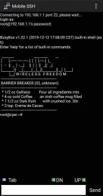 Screenshot_20210613-204220_Mobile SSH.webp
