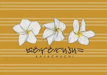 kalachuchi.webp