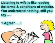 I Agree.webp