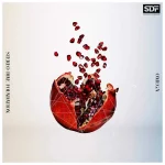 STEREO-DIVE-FOUNDATION-OMEGA.jpg STEREO-DIVE-FOUNDATION-OMEGA.jpg