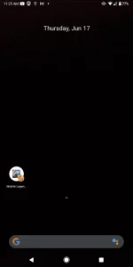 Screenshot_20210617-112517_Pixel_Launcher.webp