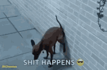 tenor (2).gif