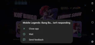 Screenshot_20210618-193219_Mobile Legends Bang Bang.webp